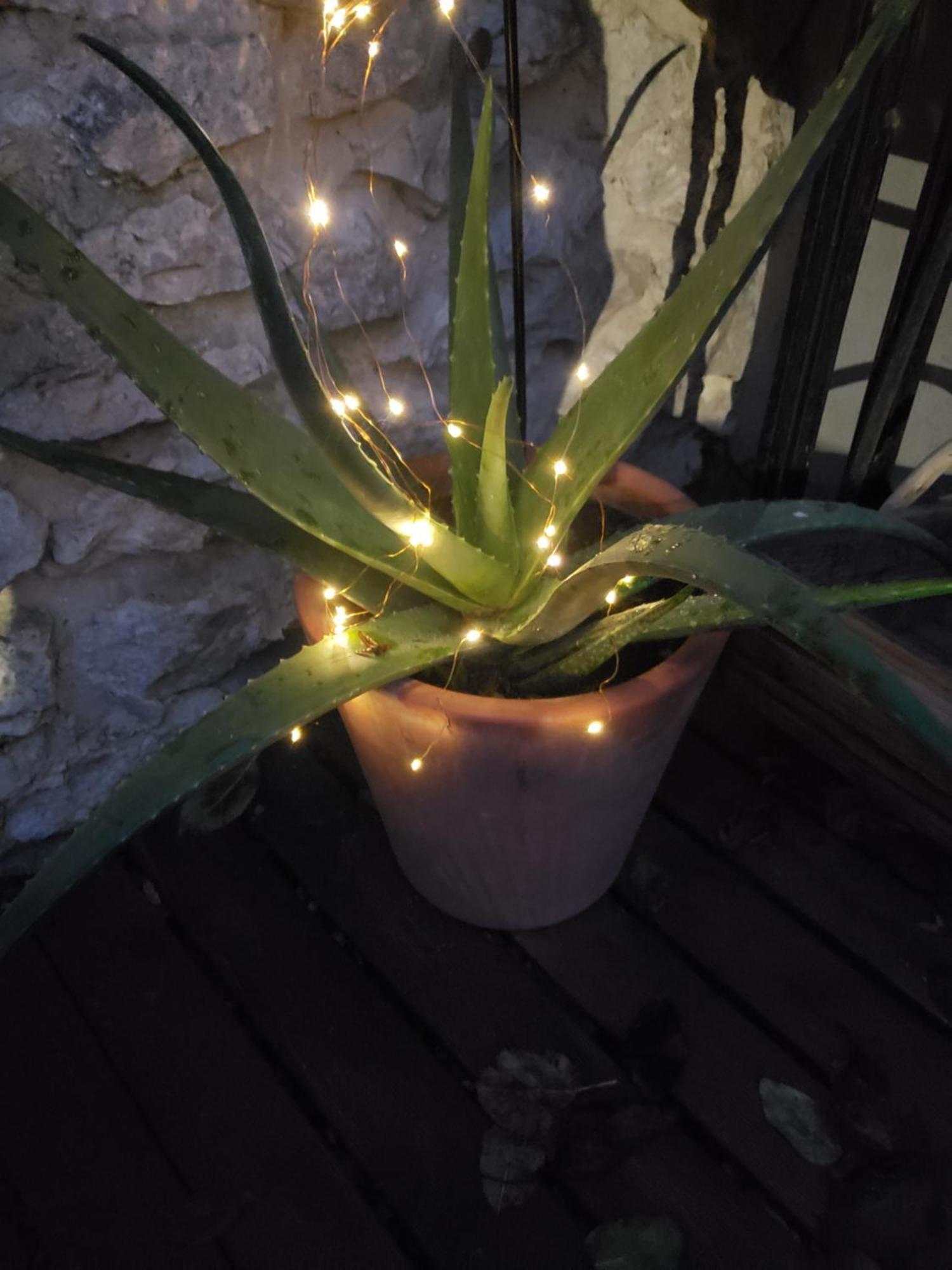 Chez Didier Et Vero Houville-la-Branche Dış mekan fotoğraf